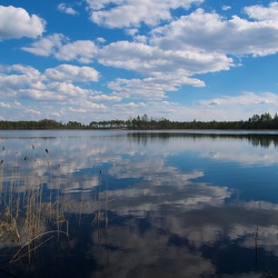 Jussi järved